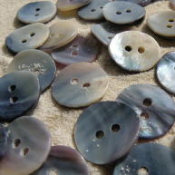 Face of Blue Mussel shell buttons